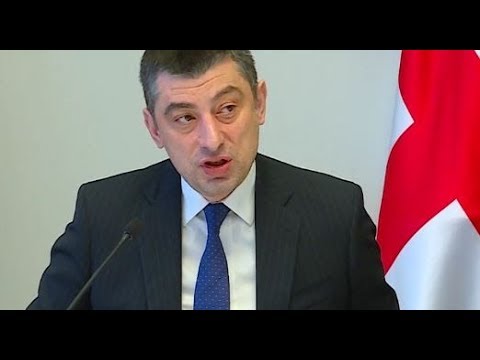 ევროპარლამენტარების მორიგი უმწვავესი წერილი პრემიერ გახარიას